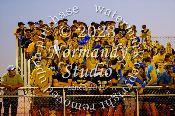 DVH_fans_33