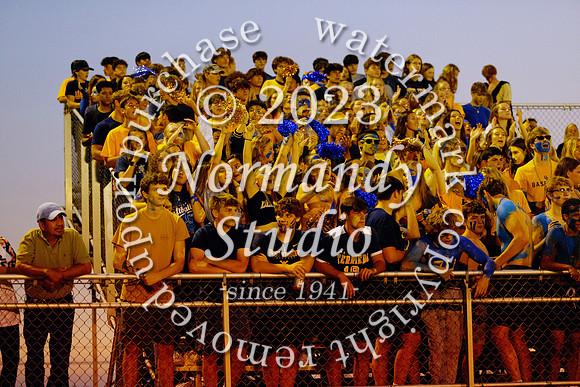 DVH_fans_34