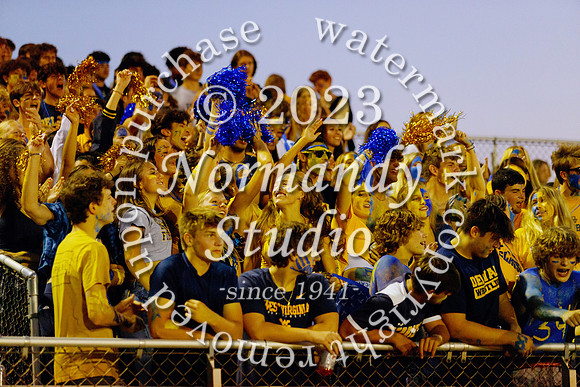 DVH_fans_38