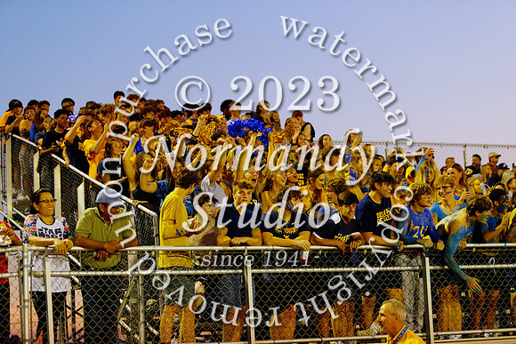 DVH_fans_40