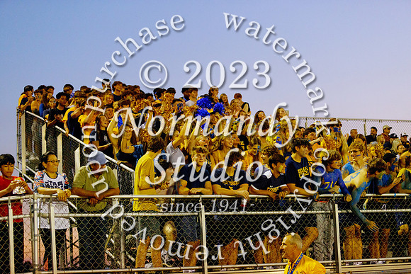 DVH_fans_41