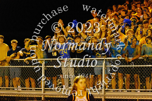 DVH_fans_46
