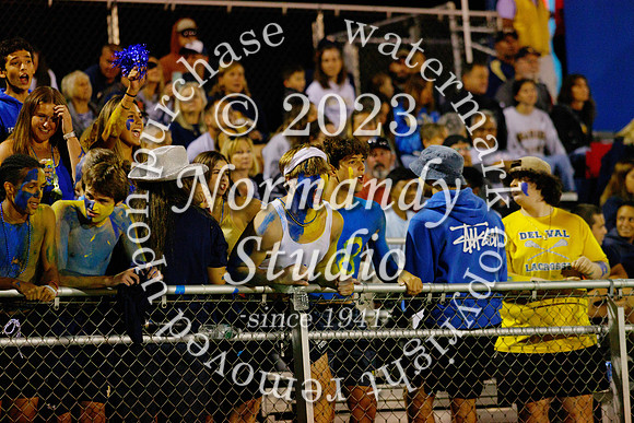 DVH_fans_48