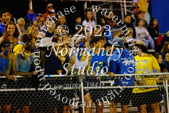 DVH_fans_49