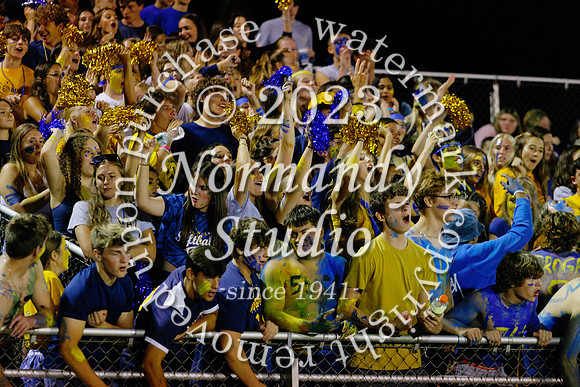 DVH_fans_52