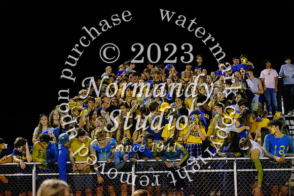 DVH_fans_55