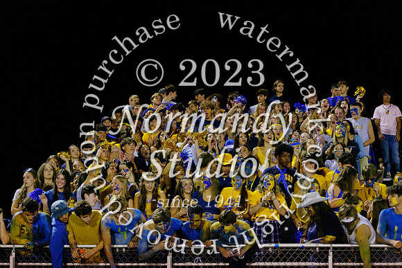 DVH_fans_56