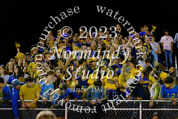 DVH_fans_57