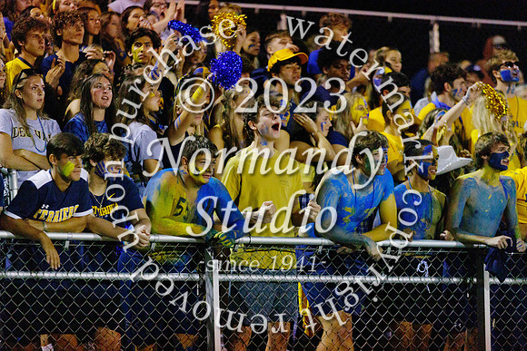 DVH_fans_66
