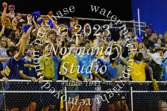 DVH_fans_71
