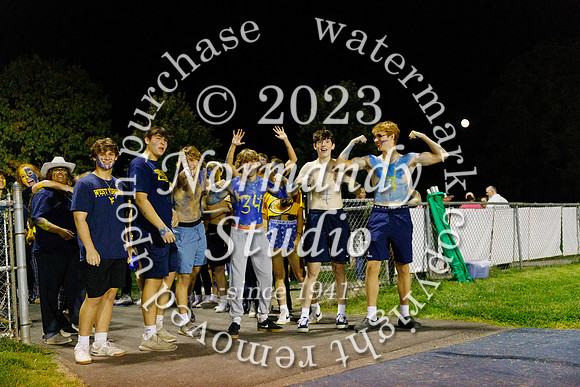 DVH_fans_77