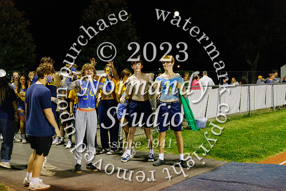 DVH_fans_76