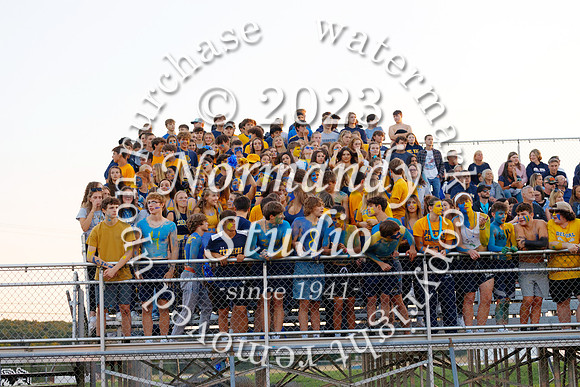 DVH_fans_04