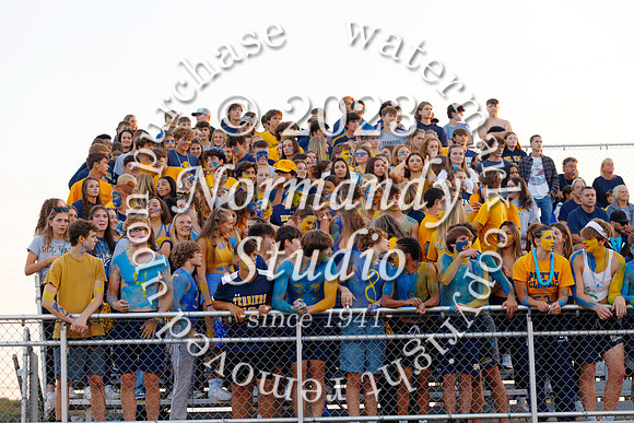 DVH_fans_03