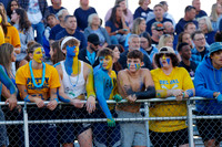 DVH_fans_01