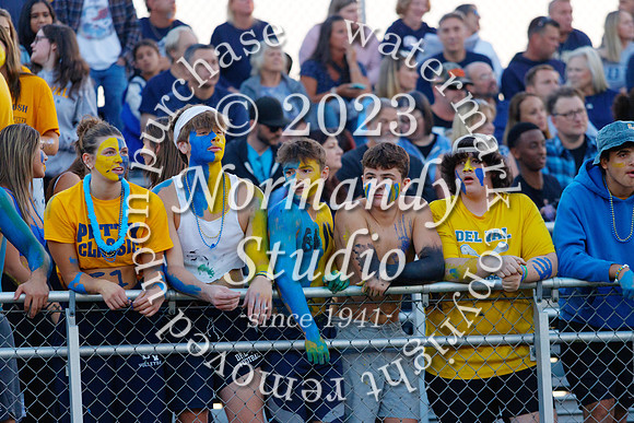 DVH_fans_01
