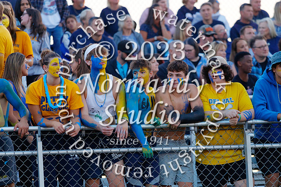 DVH_fans_02