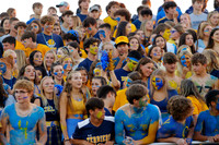 DVH_fans_06
