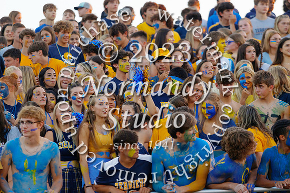 DVH_fans_06
