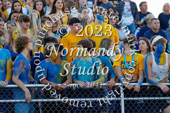 DVH_fans_07
