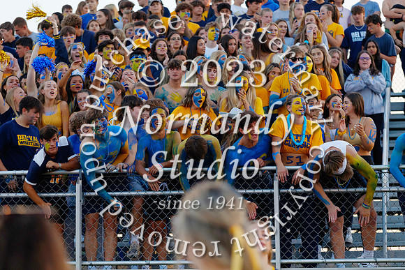 DVH_fans_08
