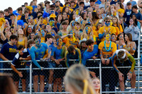 DVH_fans_09