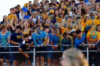 DVH_fans_10