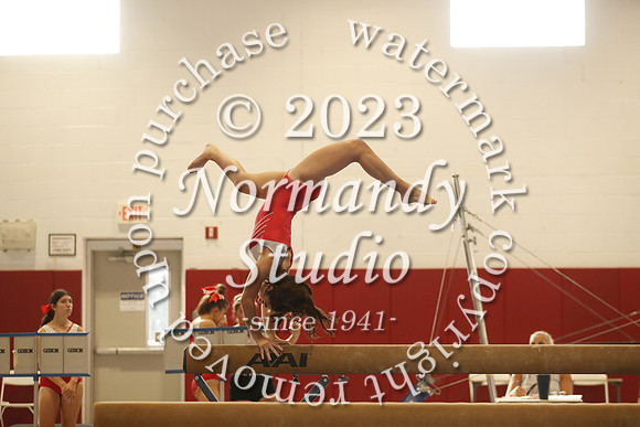 MNP_gy-g_67