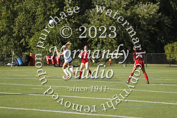 MNP_so-g_40