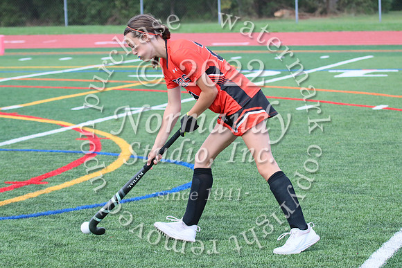 SVL_fh-j_39