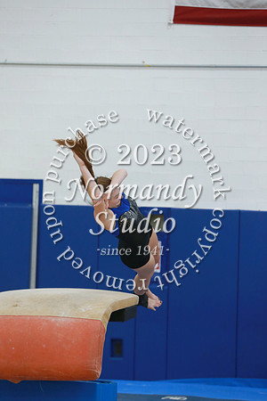 WHS_gy-g_08