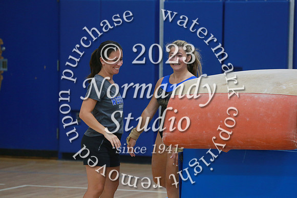 WHS_gy-g_15