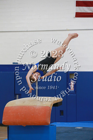 WHS_gy-g_37