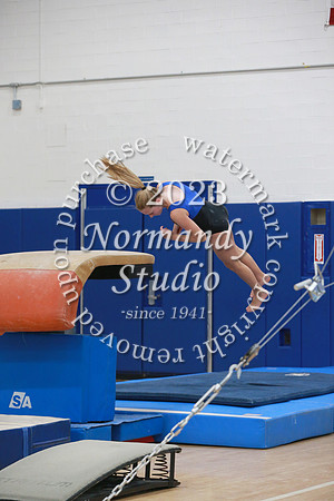 WHS_gy-g_41
