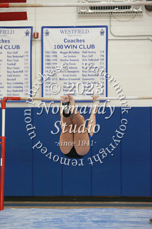 WHS_gy-g_52