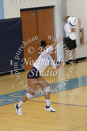 WMC_vb-g_15