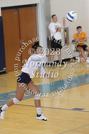 WMC_vb-g_17