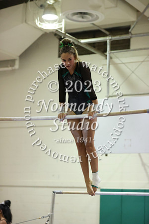 RDG_gy-g_23