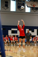 BER_vb-g_07