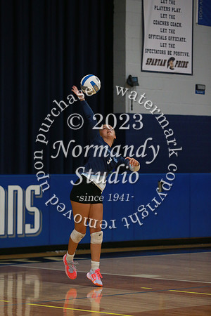 IMC_vb-g_33