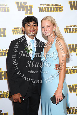 WTG_sr_prom_070