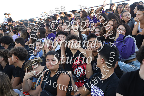 TOT_fans_29
