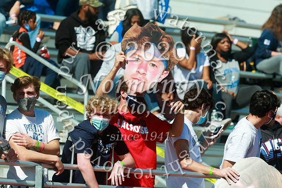 SHP_03_fbf