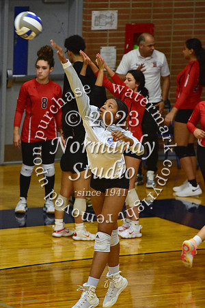 SPF_vb-g_21