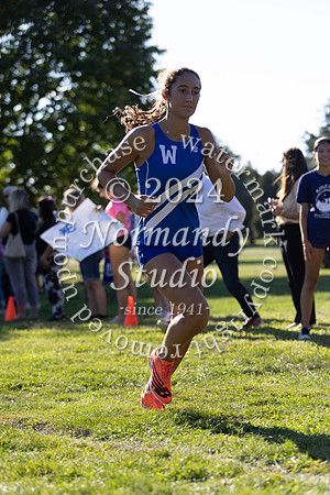 WHS_cc-g_60