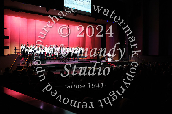 WTG_concert_22