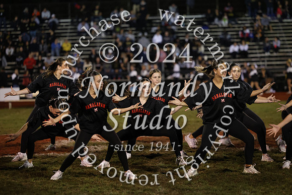 MNP_dt_24