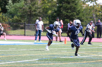 SHP_fb-v_12