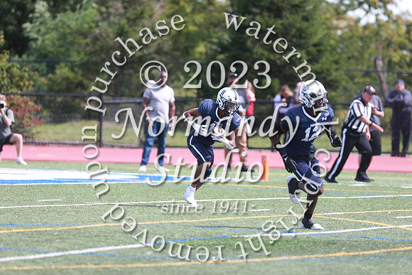 SHP_fb-v_12