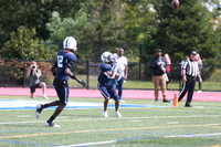 SHP_fb-v_11